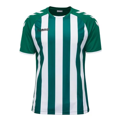 HUMMEL CORE STRIPED SS JERSEY